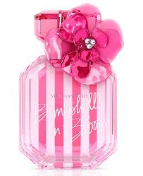 VICTORIA´S SECRET IN BLOOM